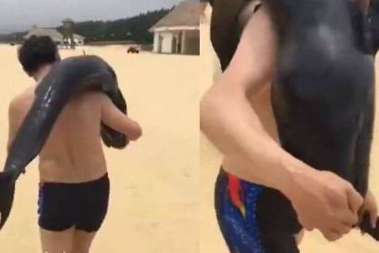 Terekam Memanggul Lumba-Lumba, Pria di China Buron