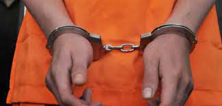 Kedapatan Membawa Sabu dan Pil Ekstasi, Wanita Asal Sumut Ditangkap Satreskoba Polres Bengkalis