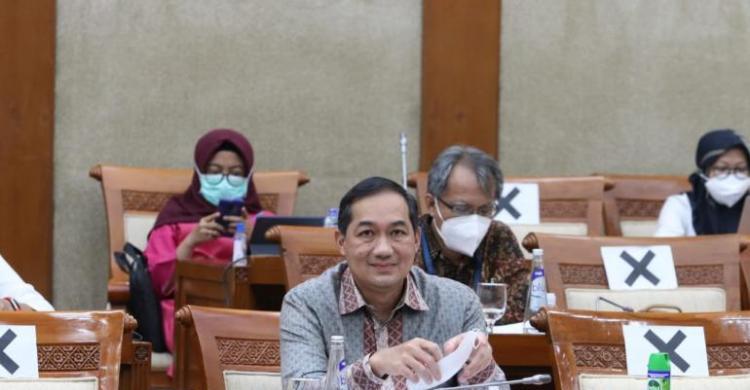 Ditolak Timur-Tengah-Barat, Lutfi: Tenang, Tak Ada Impor Beras Saat Panen