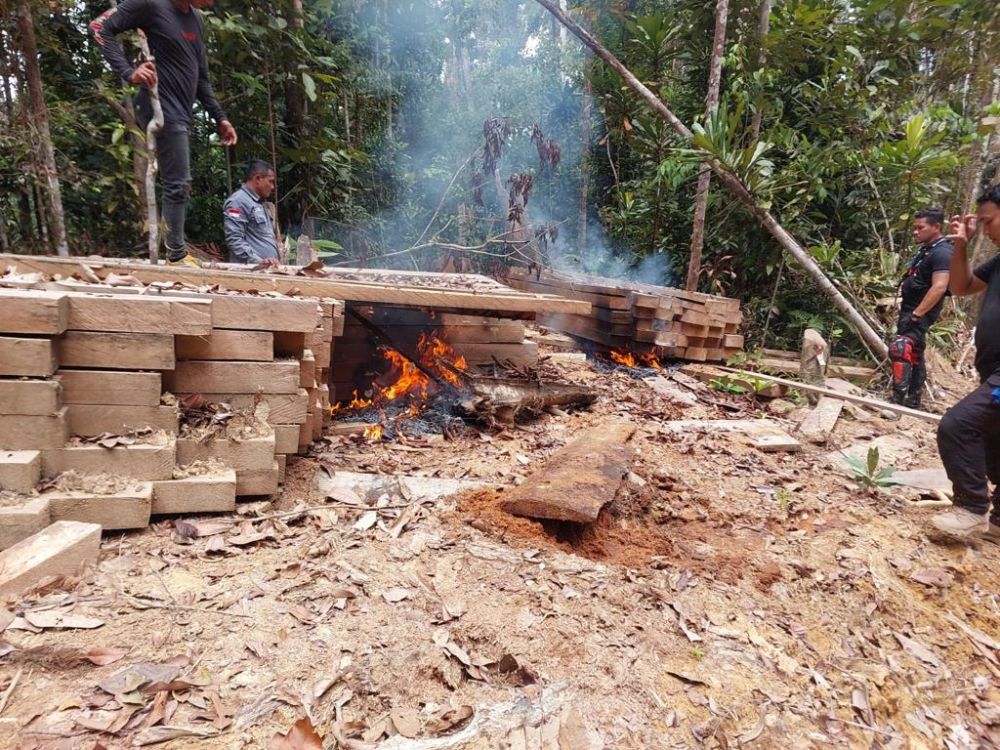 Tim Gabungan Temukan Pondok dan Kayu Pembalakan Liar di Bukit Tabandang Kuansing Riau