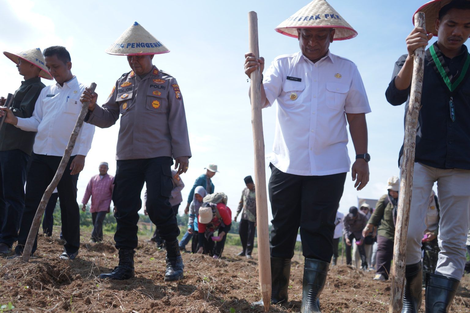 Dorong Ketahanan Pangan, Bupati Rohul Anton Tanam Jagung Bareng Forkopimda