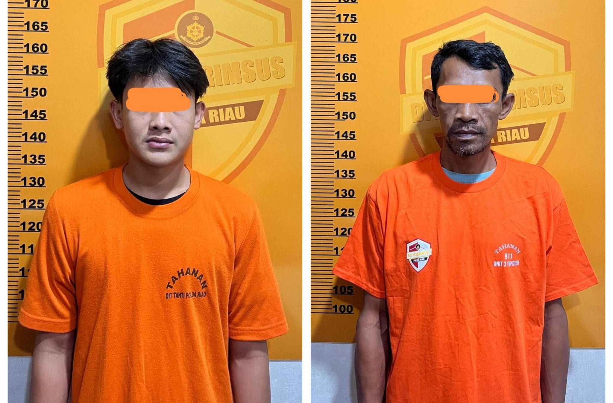 Angkut 10 Kubik Kayu Tanpa Dokumen, Dua Pria di Rohul Diciduk Polisi