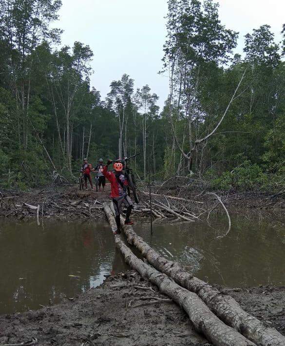 Bersepeda Menyisir Hutan Mangrove 