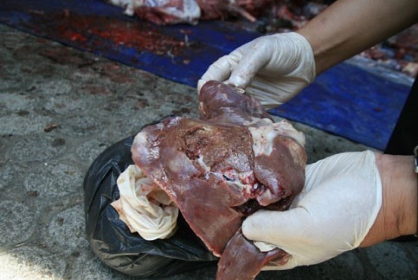 Cacing Hati Hanya Hidup di Sebagian Kecil Organ Hati