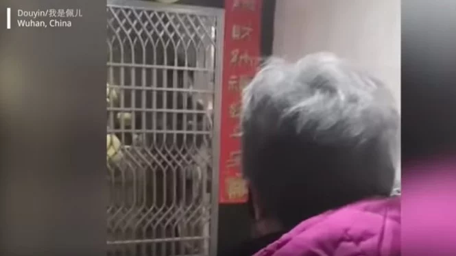 Ibu Ini menangis Bawakan Makanan untuk Anaknya yang Terinfeksi Corona