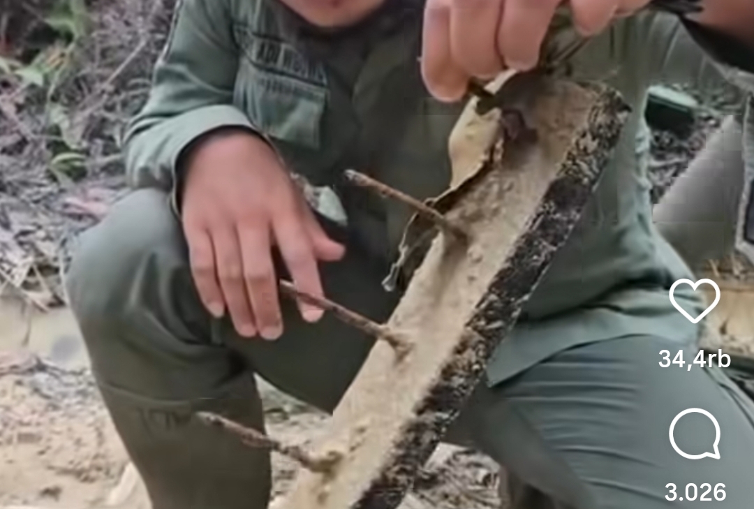 Ranjau Paku di Jalur Gajah TNTN, Diduga Upaya Menghalangi Patroli Petugas