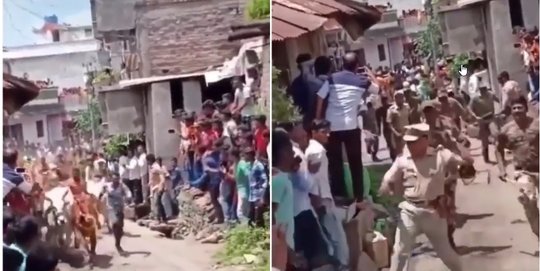 Polisi India Usir dan Pukul Warga Saat Lockdown, Warga Membalas Lepas Sapi Usir Polisi