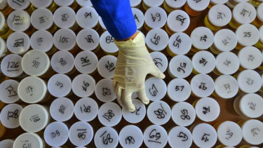 Polisi Selidiki Balita Diduga Positif Narkoba di Kabupaten Meranti