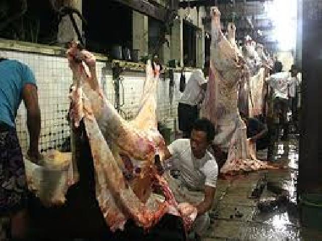 Distan Temukan Penyembelian Hewan Diluar RPH