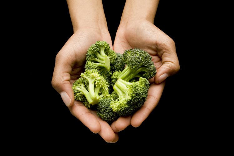Jaga Kesehatan Saluran Cerna dengan Rutin Makan Brokoli