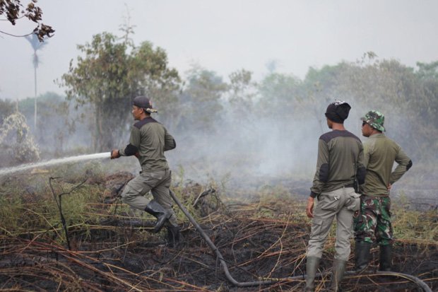 100 Hektare Lahan di Kepulauan Meranti, Riau Terbakar