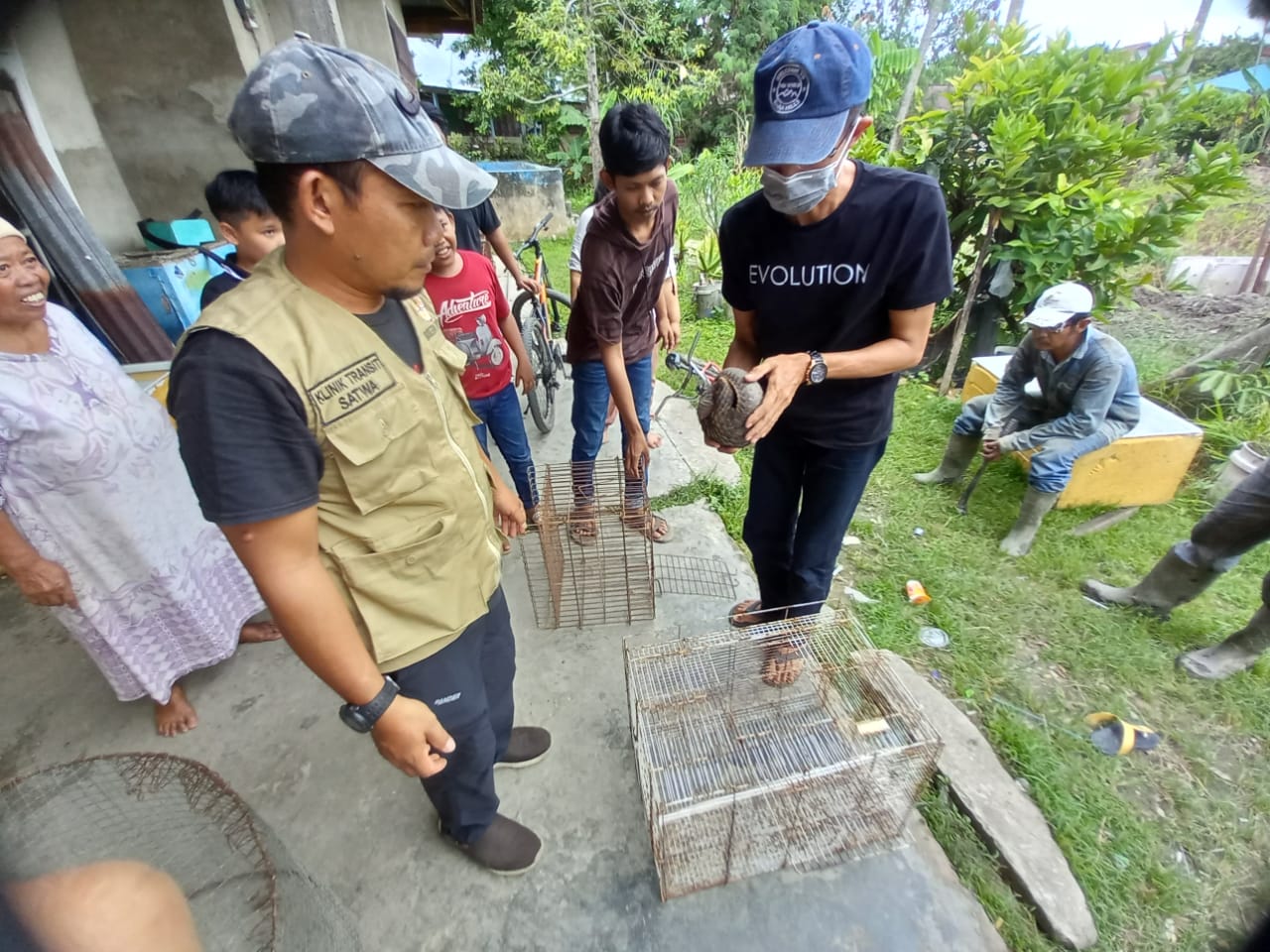 BBKSDA Riau Evakuasi Seekor Trenggiling Yang Ditemukan Warga, Awalnya Dikira Musang