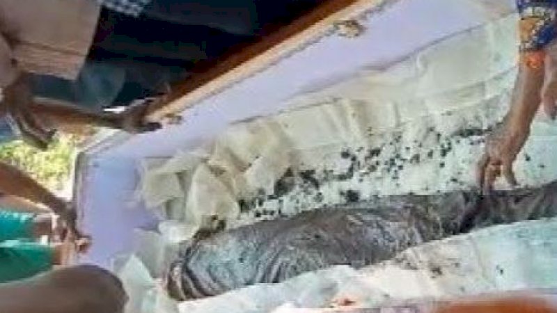 Ini Keterangan Guru Besar UMI soal Jasad Ayahnya yang Hilang saat Pembongkaran Makam