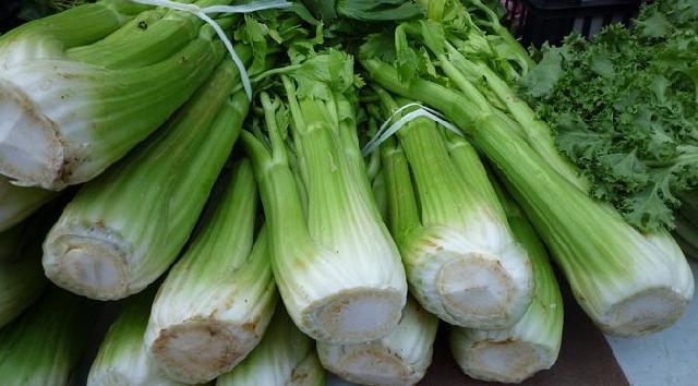 5 Manfaat Seledri, dari Mengobati Mata Kering Sampai Anemia