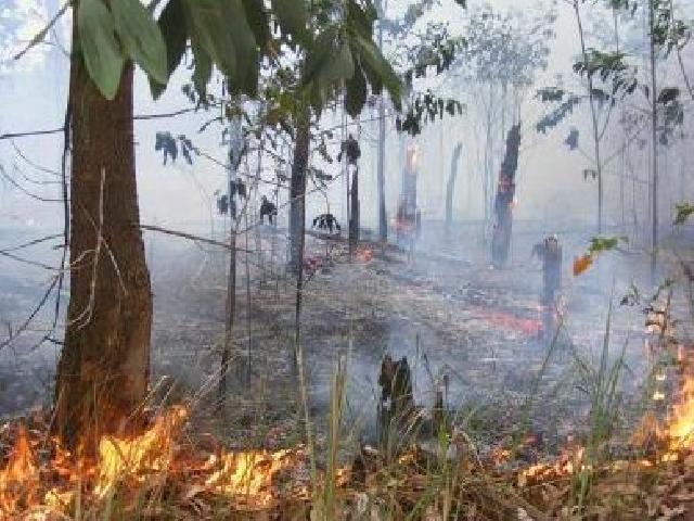  227 Titik Api Terpantau BMKG di Riau
