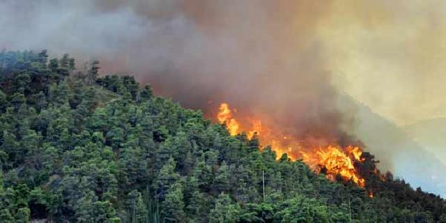 Camat Himbau Warga tidak Buka Lahan dengan Membakar