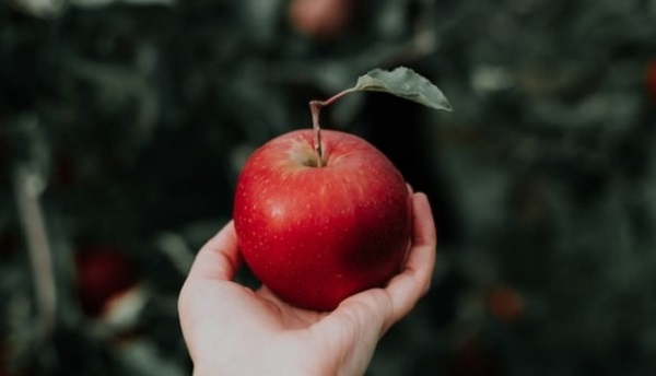 Berapa Kalori di Satu Apel? Ini Kandungan Nutrisinya