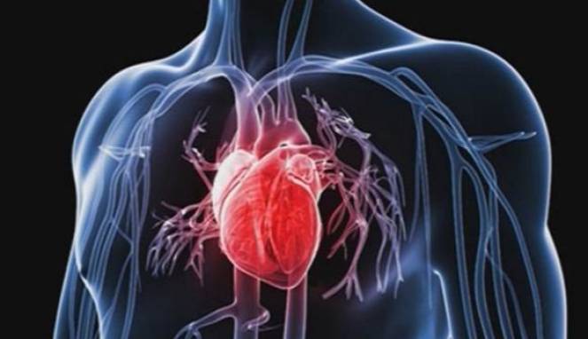 Lima Cara Mencegah Serangan Jantung