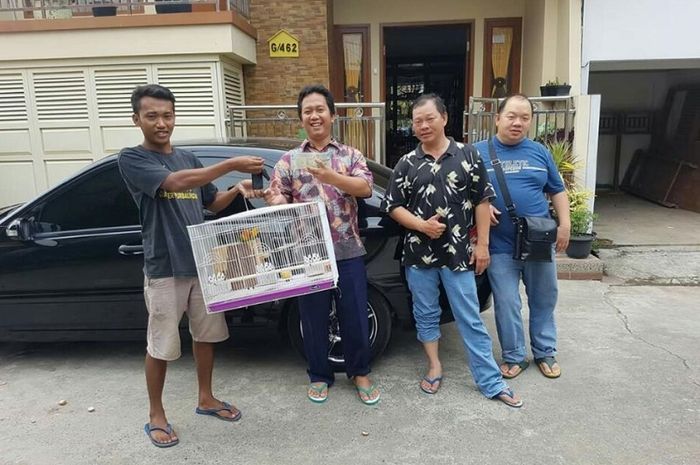 Waah, Mercedes-Benz C200 Dibarter dengan Burung Hias