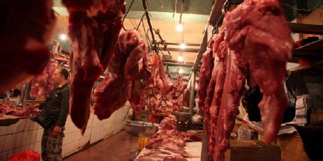 Pejabat Bea Cukai Diduga Terlibat Penyelundupan Tujuh Kontainer Daging