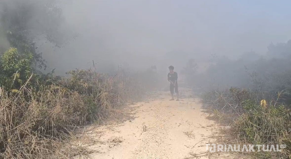 Karhutla Dekat Permukiman di Kampar, Warga Terserang ISPA dan Terpaksa Mengungsi