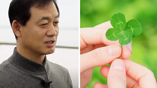 Jualan Daun, Pria Ini Berhasil dapat Penghasilan Rp 1,3 M Sebulan