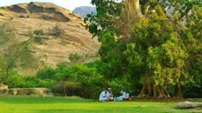 Pemandangan Indah Ini Ternyata Ada di Arab Saudi