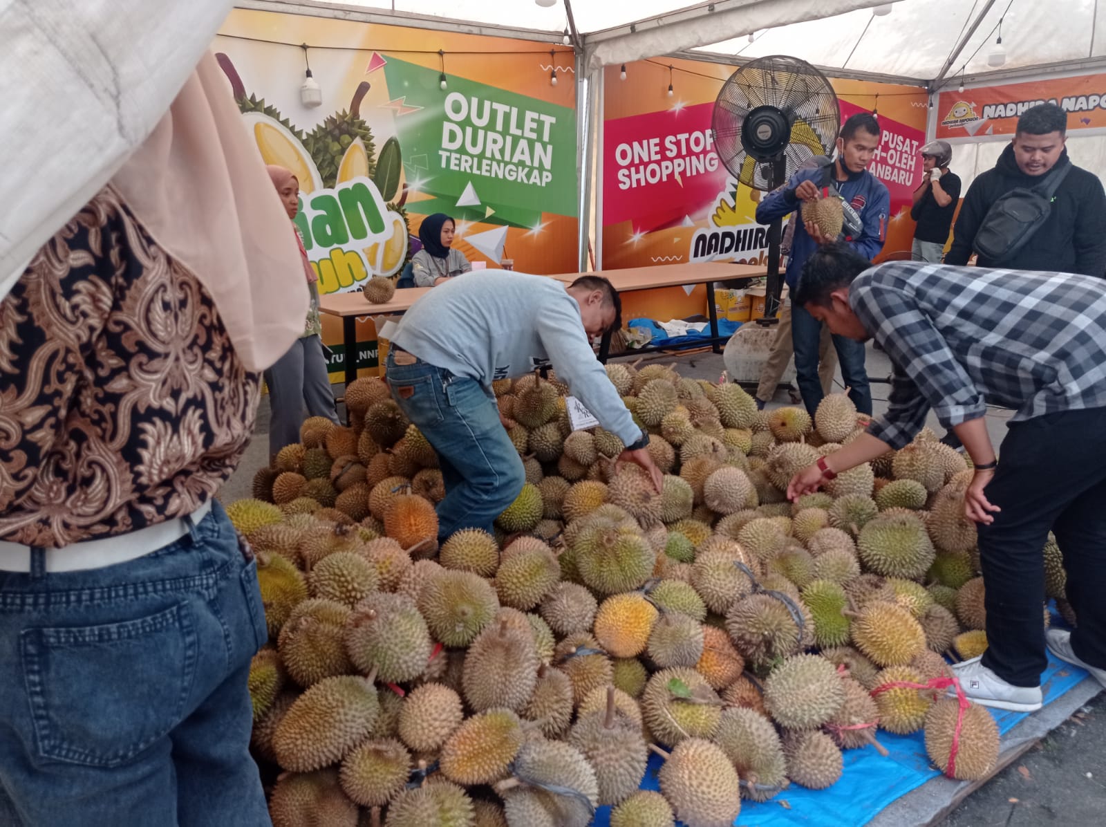 Dinas Pariwisata Riau Bikin Pesta Durian 8.000 Buah dalam Iven Kenduri