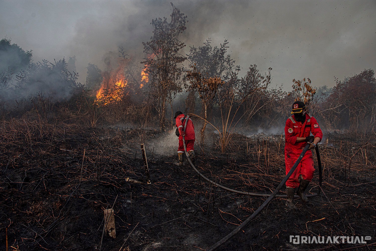 67 Titik Panas Terdeteksi di Riau, Terbanyak di Rohil