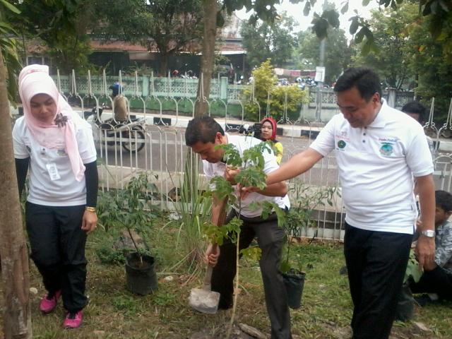 Menanam Pohon Trembesi Bantuan Panin Bank di SMKN 3 Pekanbaru  