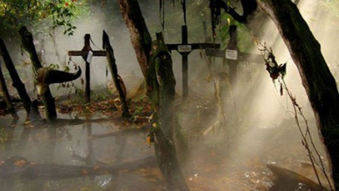 10 Hutan Misterius di Dunia, Menyimpan Sejuta Rahasia