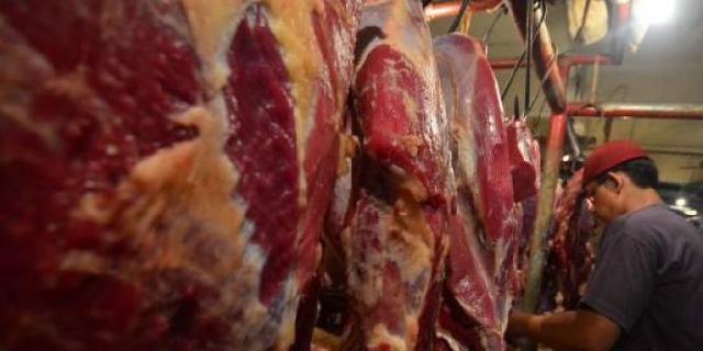 Disperindag Pekanbaru Razia Daging Ilegal di Pasar