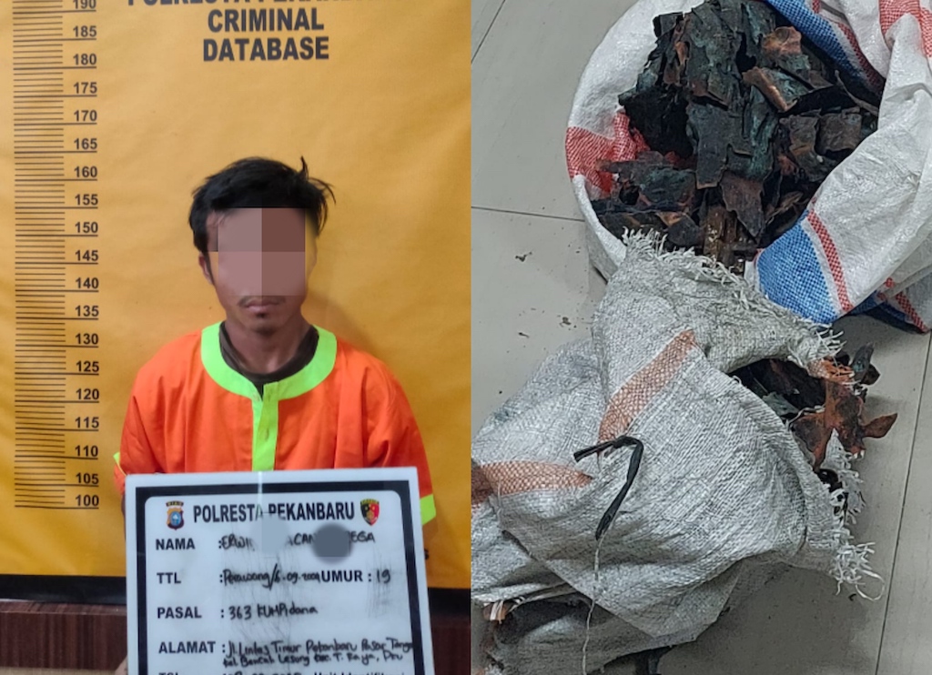 Pelaku Pencuri Lempengan Tembaga Tugu Zapin Pekanbaru Ditangkap Polisi, Begini Modusnya!