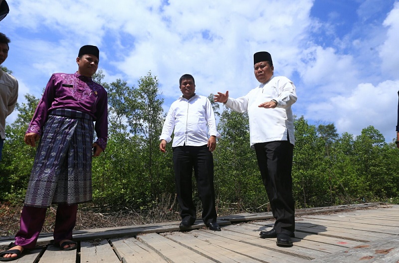 Bupati Meranti Fokus Bangun Infrastruktur Pendukung Aksesbilitas