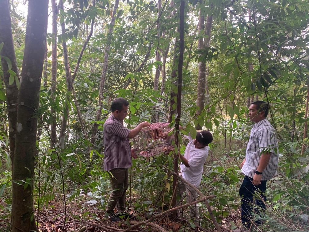 Setahun Dipelihara Warga, Kukang Jantan Dilepasliarkan di TWA Muka Kuning