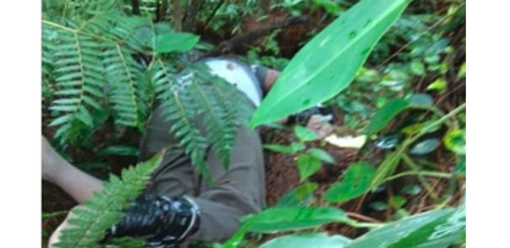 Tak Kunjung Pulang, Pengemudi Taksi Online Ditemukan Tewas di Hutan Taman Nasional