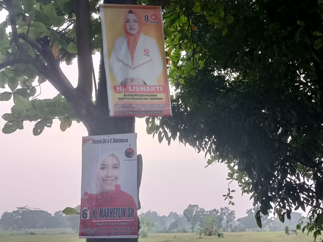 Banyak Baliho Caleg Nempel di Pohon, Ini Kata Pengamat