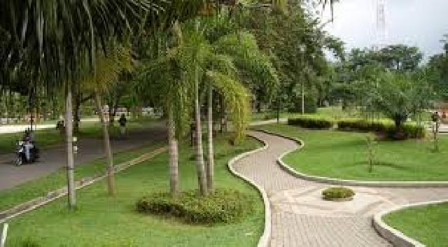 Wabup Sosialisasikan Siak Menuju Kabupaten Hijau