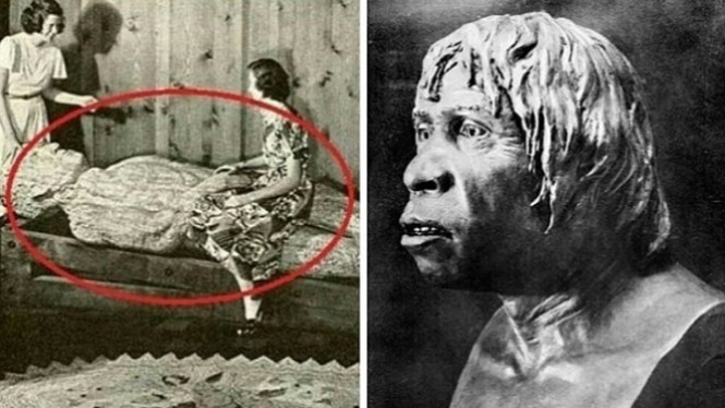 3 Penemuan Besar Ini Ternyata Hasil Rekayasa