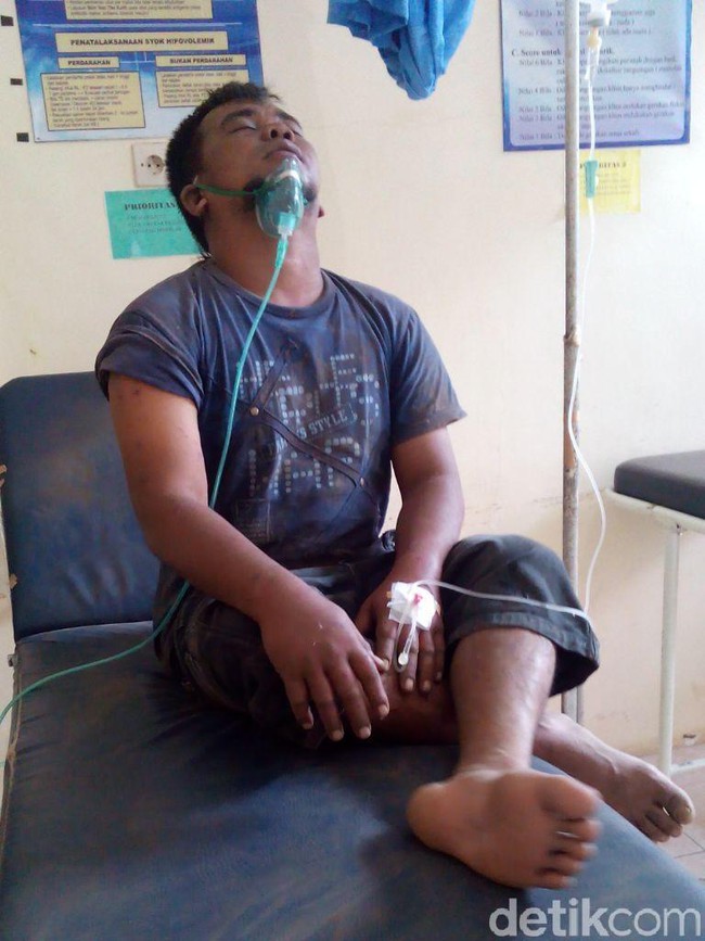 Diserang Ribuan Tawon, Pria Ini Tewas