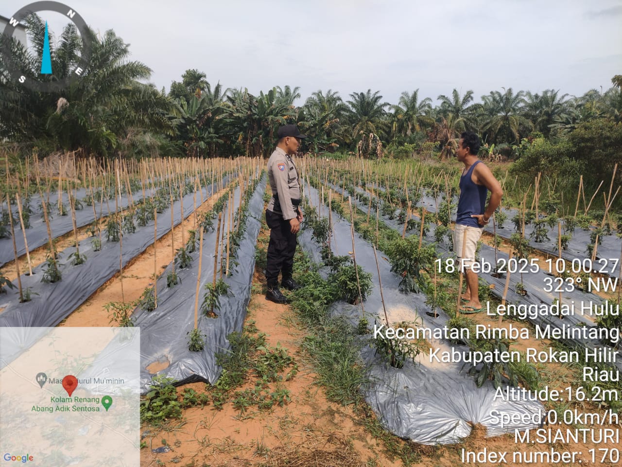 Polsek Rimba Melintang Data Ketahanan Pangan Keluarga di Lenggadai Hulu