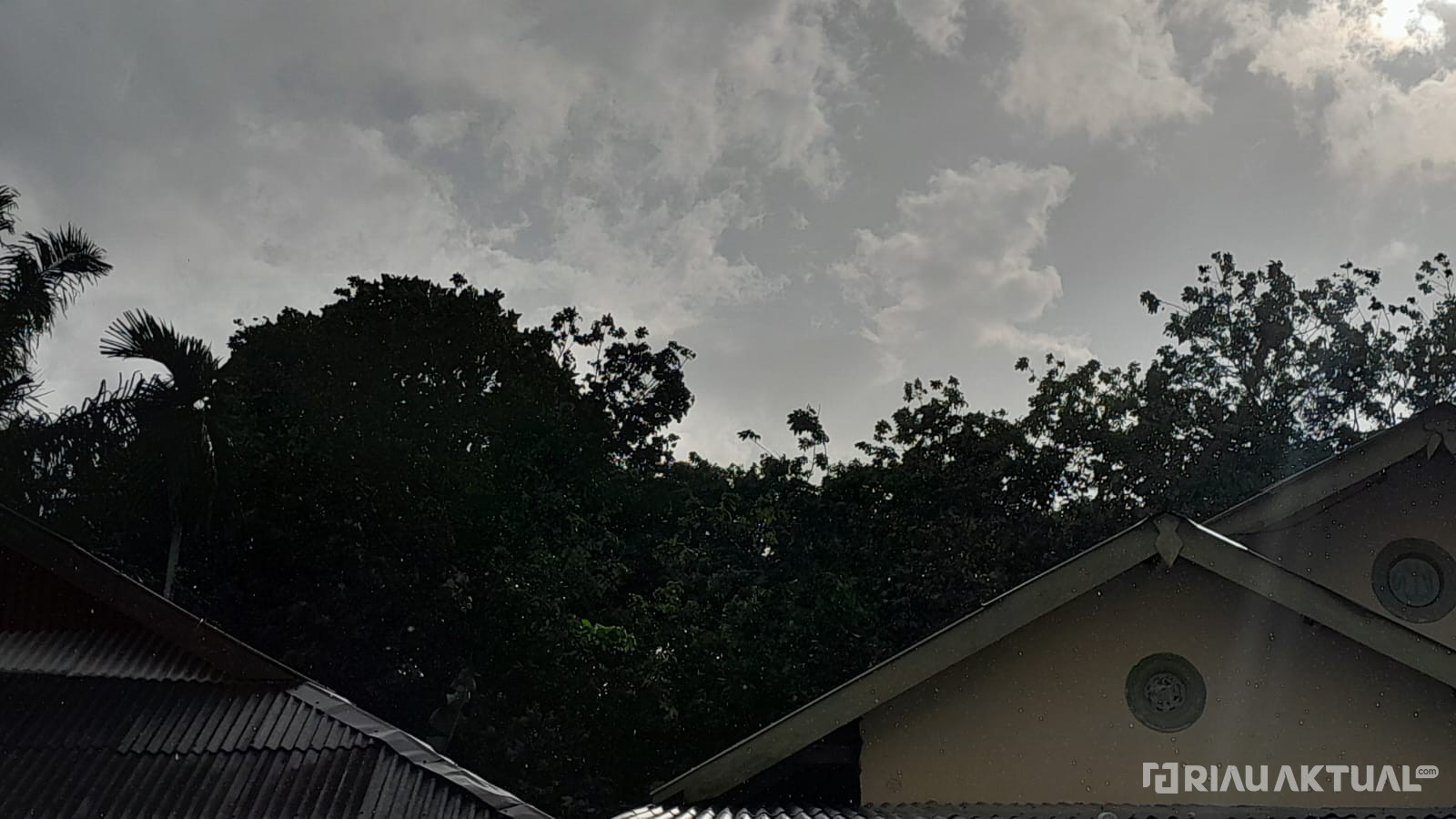 BMKG: Riau Berawan hingga Hujan Ringan, Waspada Gelombang Setinggi 2,5 Meter