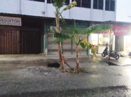 Karena Jalan Rusak Parah, Warga Tanam Pisang di Badan Jalan Nenas