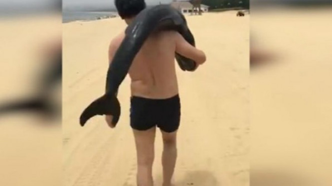 Polisi Buru Turis yang Bawa Lumba-lumba Hidup dari Pantai