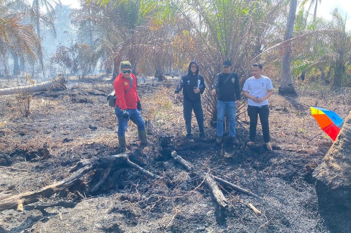 Polisi Tangkap Pria di Bengkalis yang Diduga Picu Karhutla