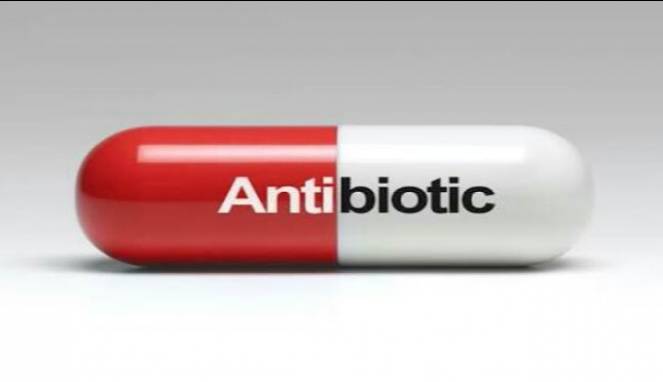 Begini Cara Kerja Antibiotik Melawan Infeksi Penyakit
