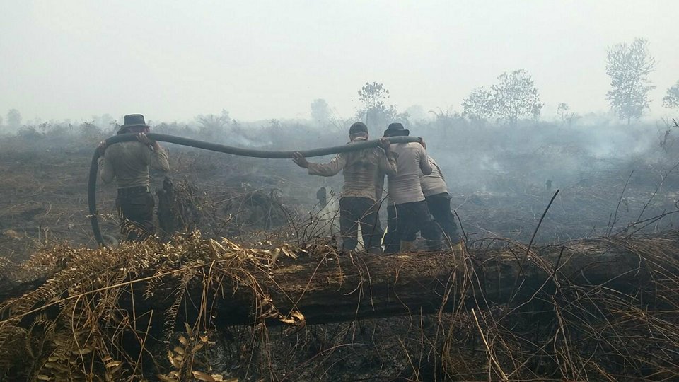 Ratusan Hektar Lahan Terbakar di Dumai dan Rohil