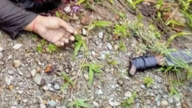 Kejam,OPM Tebas Wajah Prajurit TNI Pakai Parang