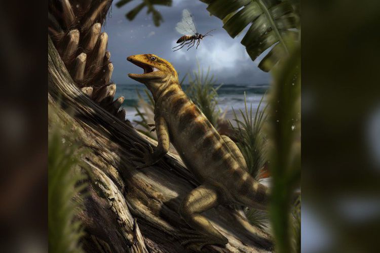 Inilah Ibu dari Semua Kadal dan Ular, Usianya 240 Juta Tahun