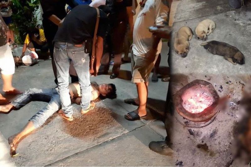 Hiiih ! Bunuh dan Makan Daging Anjing Tetangga, Pria Ini Diamuk Massa